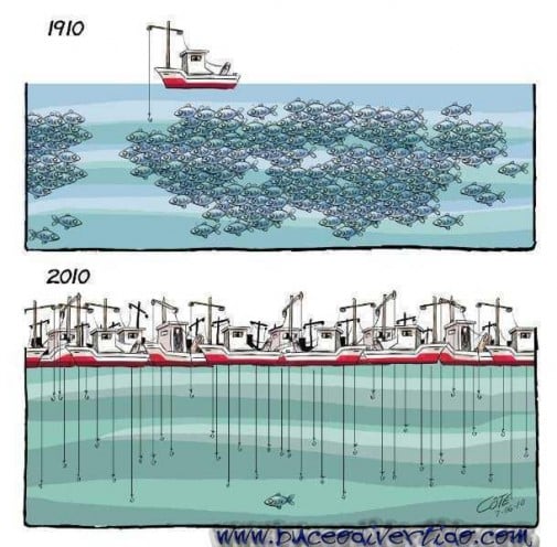 Príspevok 26331