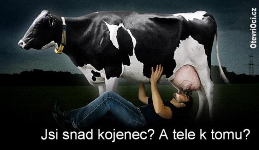 Príspevok 26343
