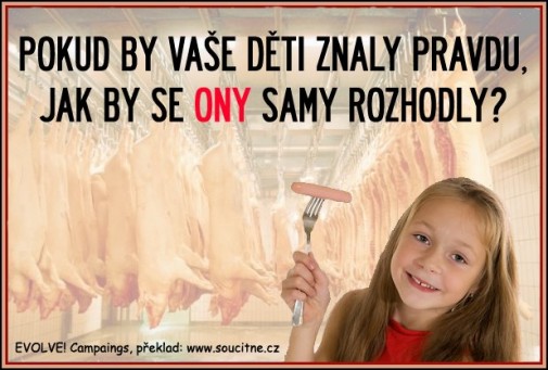 Príspevok 26334