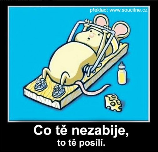 Príspevok 26335