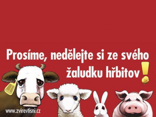 Príspevok 26326