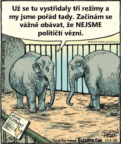 Príspevok 26338