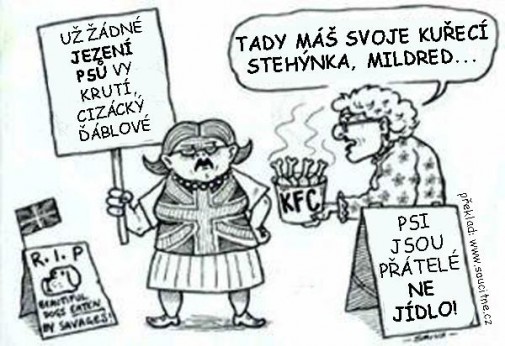 Príspevok 26329